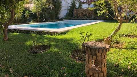 Garden, Garden view, Swimming pool