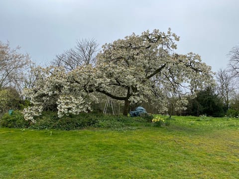 Chocolate Box Retreat in Dorset House in East Dorset District