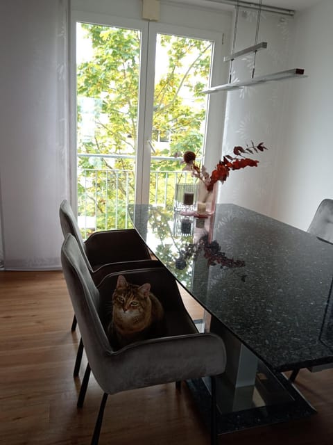 Gemütliches Zimmer- Zu beachten Katze wohnt in der Wohnung !! nur für Frauen ! Vacation rental in Esslingen