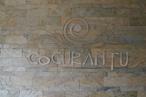Cocurantu Hotel Boutique Hôtel in Pucon
