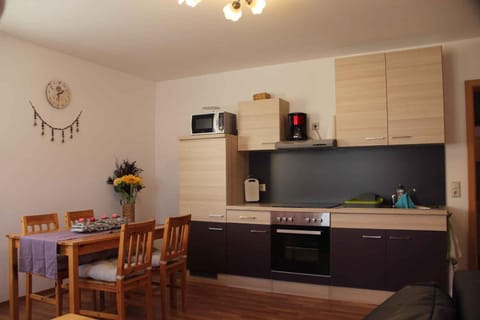 Apartment in Dorfchemnitz bei Sayda 3110 Wohnung in Sächsische Schweiz-Osterzgebirge