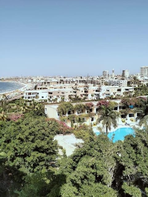 شاليه مجموعه النصر Apartment in Alexandria