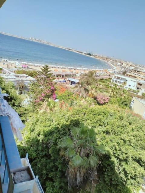 شاليه مجموعه النصر Apartment in Alexandria