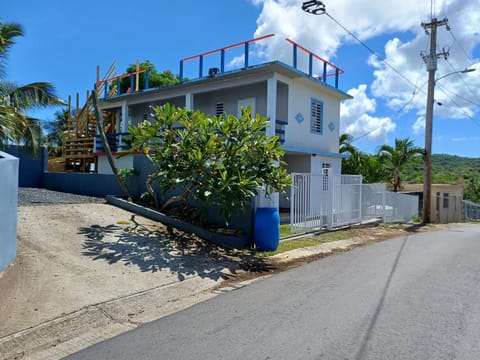 Rooster Run Guest House and Camping offers a unique rooftop and off the ground camping experience along with interior air-conditioned rooms, Enjoy Carribean Breezes, Ocean Views, Stay and Play, convenient location Luxury tent in Puerto Diablo