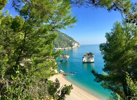 Natural landscape, Beach