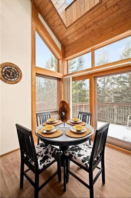 Ski-in Ski-out Townhome at Lutsen Mountain, Pool, Hot Tub, Fitness, Sauna and more! Apartment in Lutsen