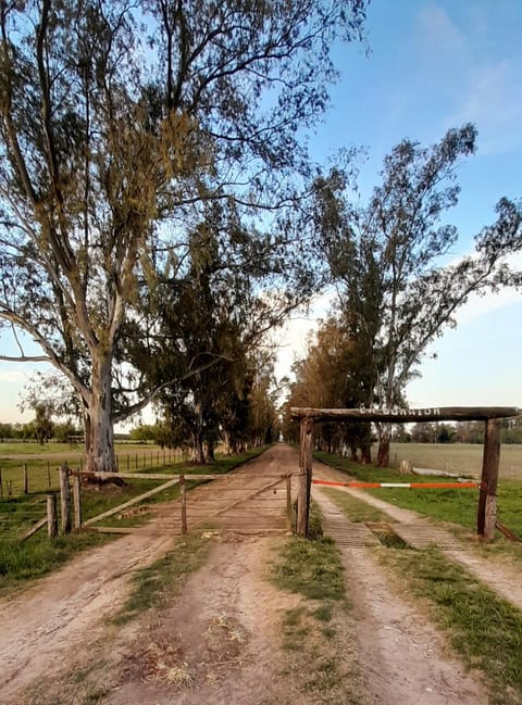 La Guarida Lobos House in Lobos