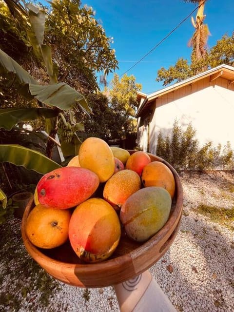 Bienvenidos a la Pequeña Selva Casa in Homestead