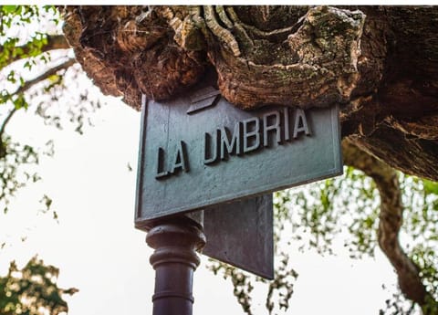 Vivienda Rural Casa Buena Vista Chalet in Sierra de Huelva