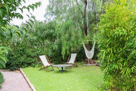 Natural landscape, Garden view, sunbed