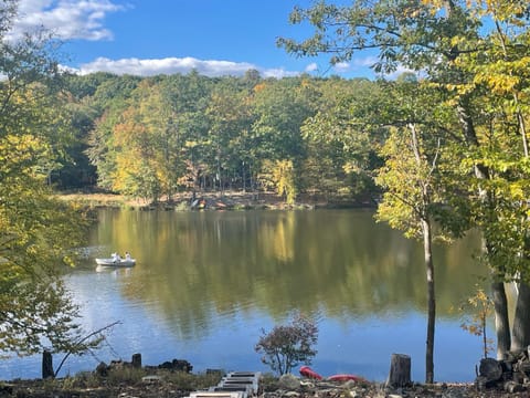 Spring, Day, Natural landscape, Lake view