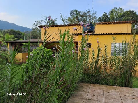 Spring, Garden, Garden view