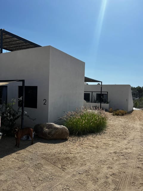 Ocean View, Gorgeous Rooftop, AC, Wifi & Peaceful House in Todos Santos