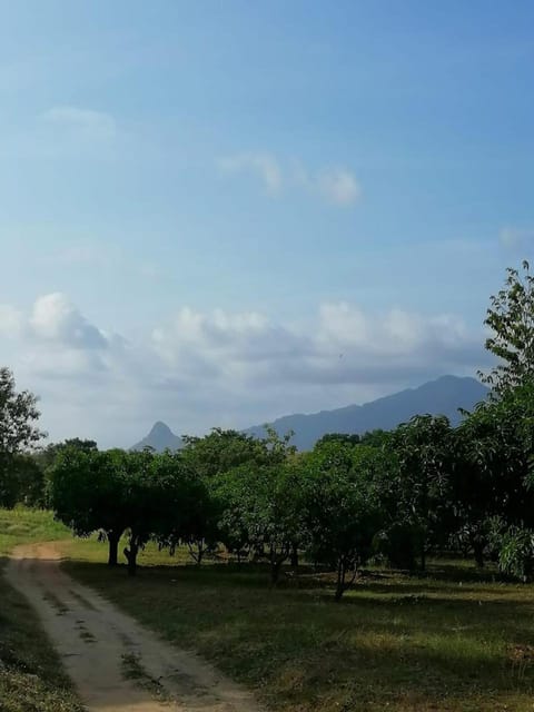 Kaaya Breeze Nature lodge in Dambulla