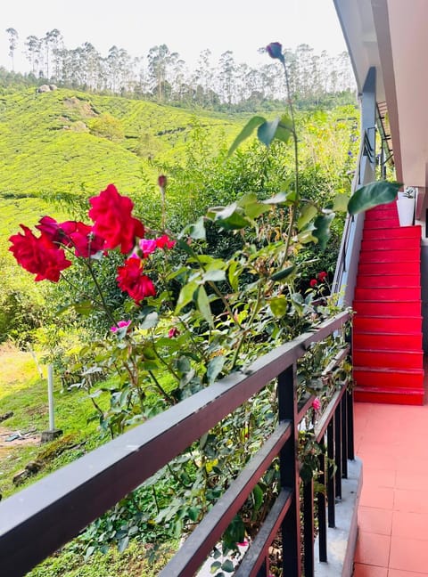 Day, Natural landscape, Garden, Balcony/Terrace, Garden view