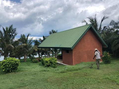 Property building, Garden view