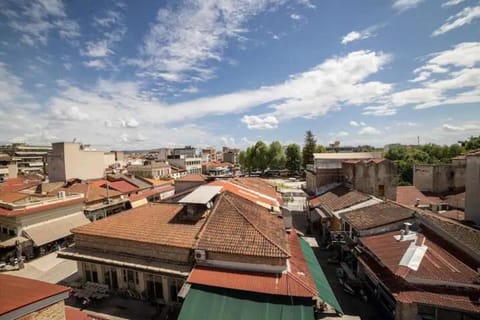 Loft house trikala Apartment in Trikala