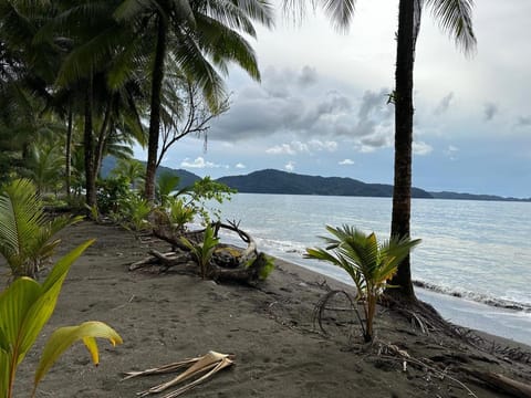 Beach, Sea view