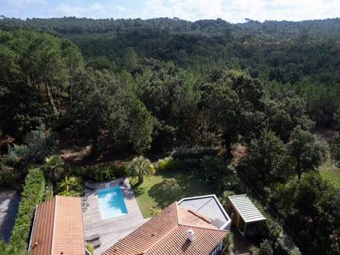 Villa avec piscine chauffée, jardin exotique, au calme proche plages et commerces, Capbreton - FR-1-791-17 Villa in Capbreton