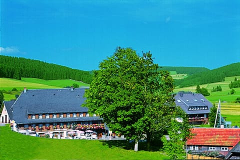 Hotel Zum Löwen - Unteres Wirtshaus | Titisee-Neustadt | VacationRenter