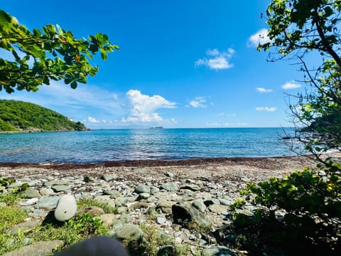 Snorkeling, Beach