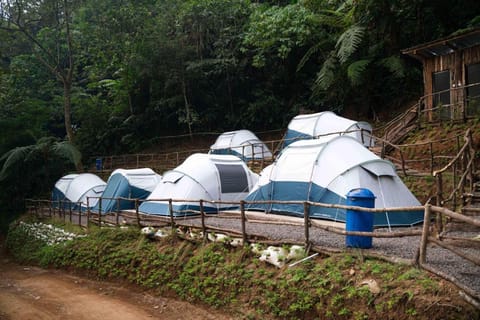 Levi Camp Resort in Cisarua