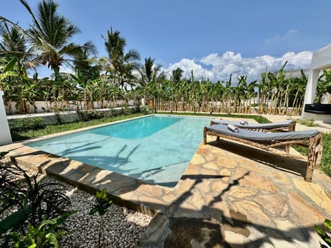 Day, Garden, Pool view, Swimming pool, sunbed