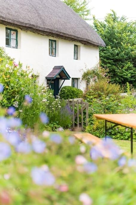 Property building, Spring, Day, Garden, Garden view