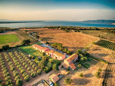 Bird's eye view, On site