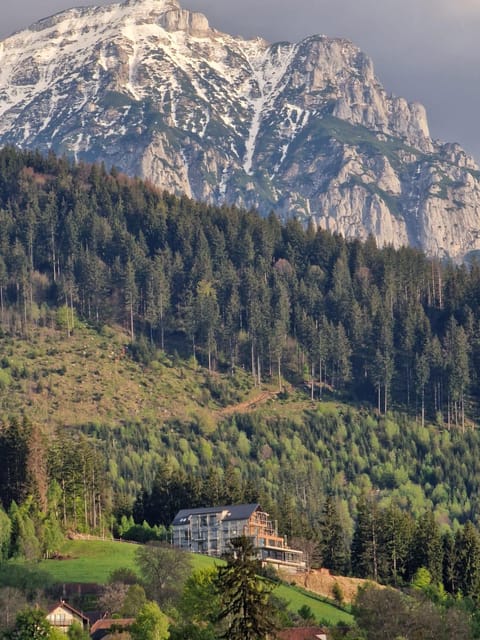 Property building, Natural landscape