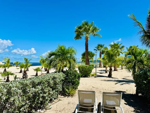 Shell Beach incroyable 3 chambres beachfont Apartment in Sint Maarten