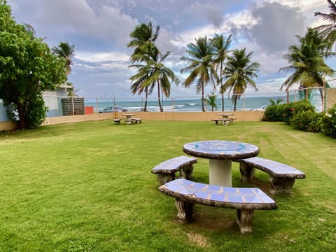 Natural landscape, Beach, Garden view, Sea view