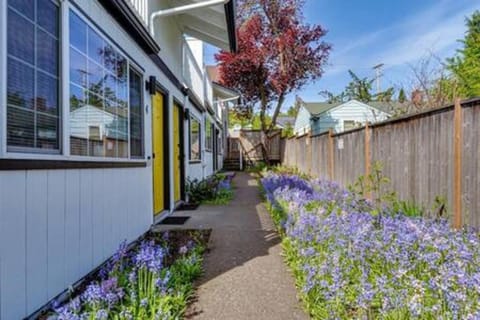 Upstairs UO, Autzen, Amazon Park Apartment in Eugene