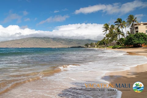 Menehune Shores 606 - Direct Ocean Front, Split AC House in Kihei