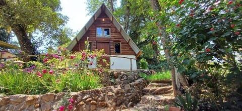 Property building, Spring, Day, Garden, Garden view