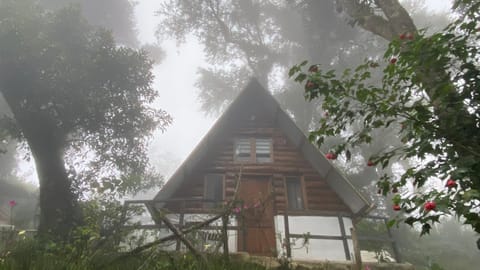 Cabañita del bosque de la cumbre de san Bartolo Milpas Altas House in Sacatepéquez Department