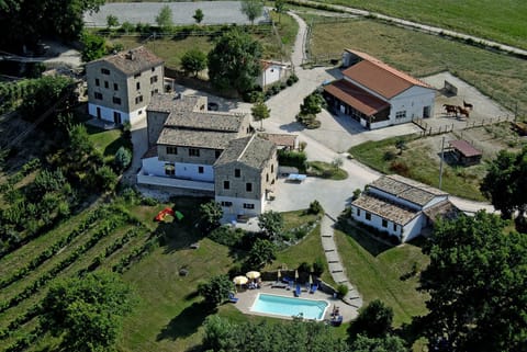 Area and facilities, Swimming pool