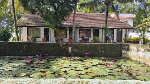 Garden, Garden view