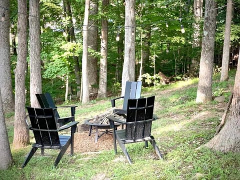 Natural landscape, Seating area, fireplace