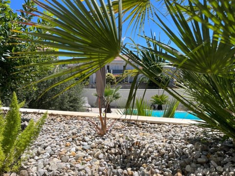 Day, Garden, Pool view, Swimming pool