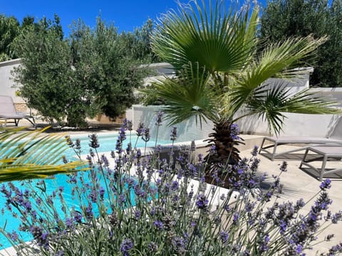 Spring, Day, Garden, Garden view, Pool view, Swimming pool, sunbed