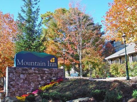 Mountain Inn Lodge 82 with Wintergreen Advantage House in Massies Mill