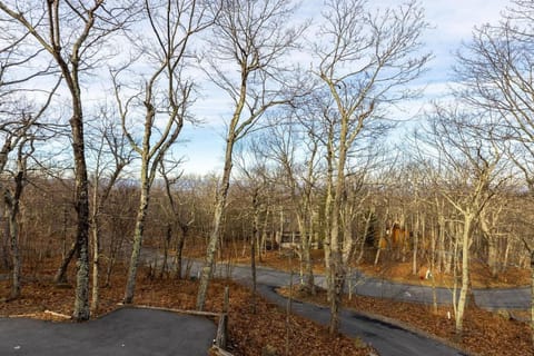 Bull City Bungalow with Wintergreen Advantage House in Nelson County