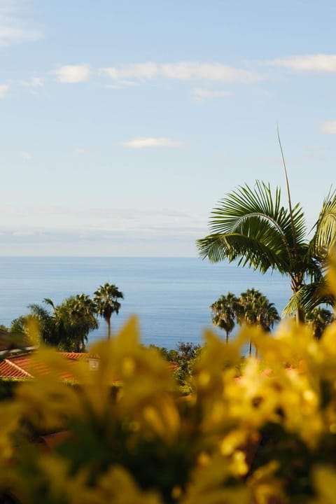 Natural landscape, Sea view