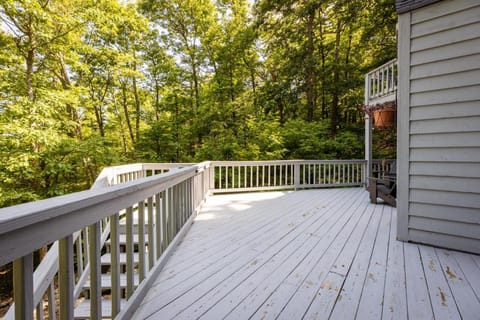 Nancy's Edelweiss with Wintergreen Advantage House in Nelson County