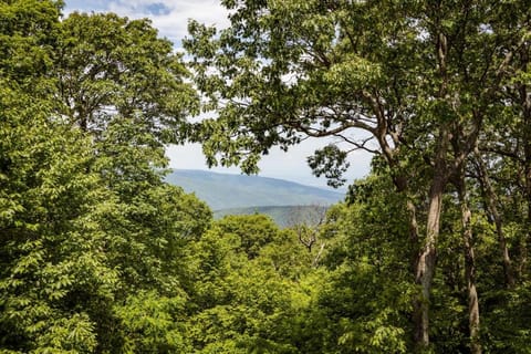 Nancy's Edelweiss with Wintergreen Advantage House in Nelson County