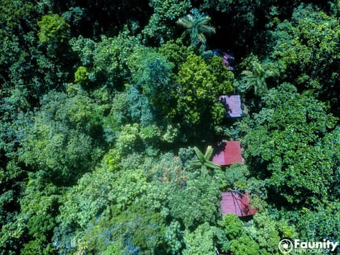 Yatama Rainforest Ecolodge Hospedagem na natureza in Heredia Province