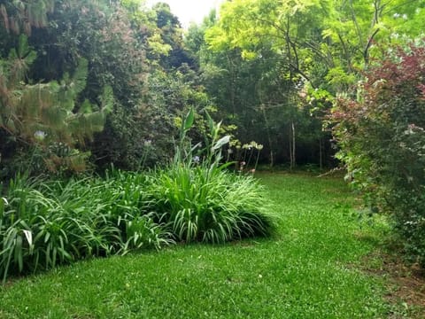 Chalet para 8 o 9 personas, pegado al Bosque Peralta Ramos y a 10 cuadras de las mejores playas del sur de Mar del Plata House in Mar del Plata