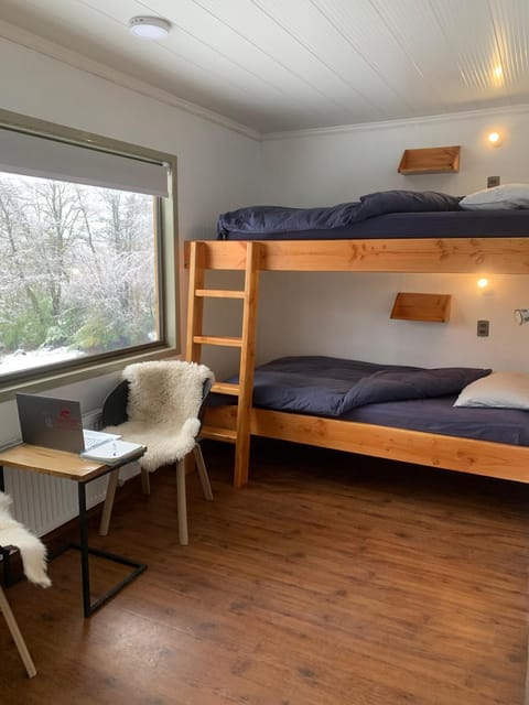 Bed, Photo of the whole room, Bedroom, bunk bed