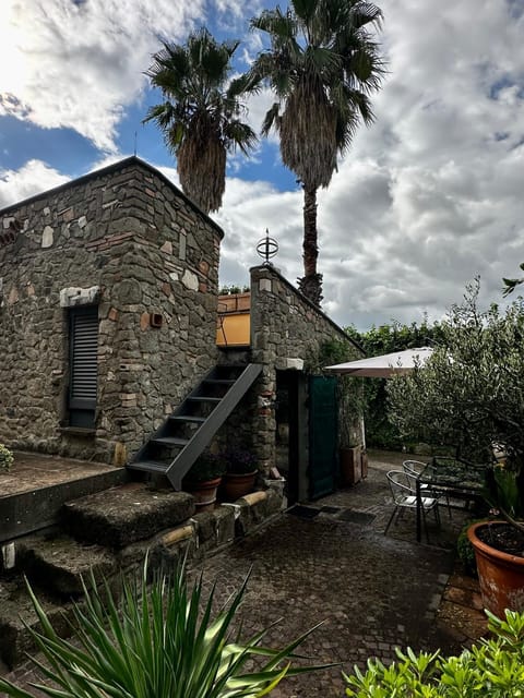 Property building, Spring, Day, Garden, Garden view